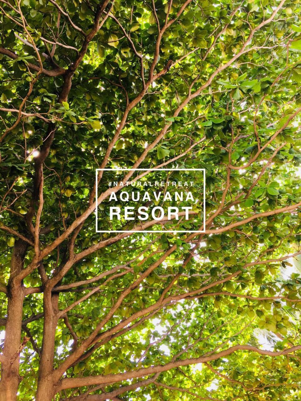Aquavana Haad Rin Resort エクステリア 写真